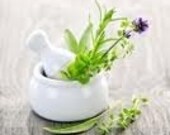 Nana's Old Fashioned Herbal Healing Salve - 4 oz.