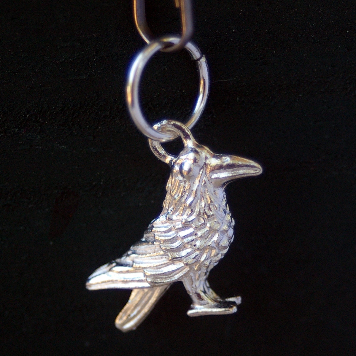 2" Mesh Tea Ball with Raven Charm