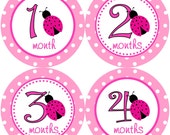 Baby Month Stickers Girl Monthly Onesie Stickers Hot Pink Pinkalicious Polka Dot Ladybug Month Stickers Baby Shower Gift Photo Prop Chloe