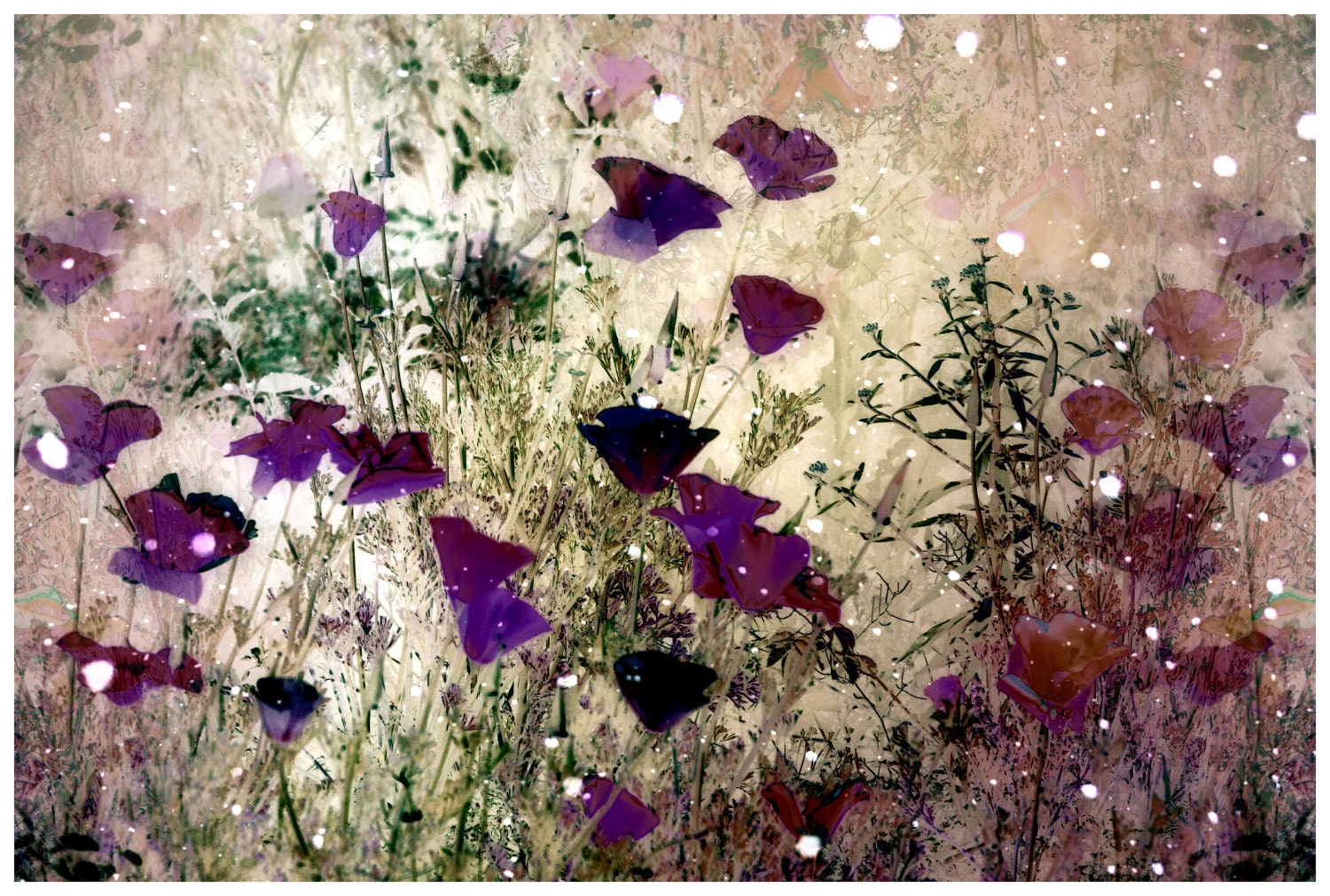 Digital Collage Art Print Poppies Muted Colors Fine Art Photograph