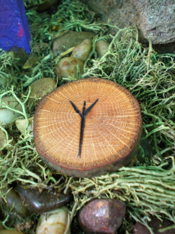 Oak Wood ALGIZ Amulet for your Pocket, Altar, and More