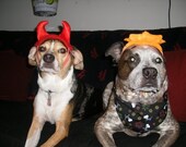 Pumpkin Spice Barktober Cookies