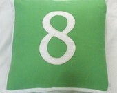 personalized number pillows custom made