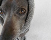 Warm Performance Fleece Snood Ear Warmer for Dogs-small
