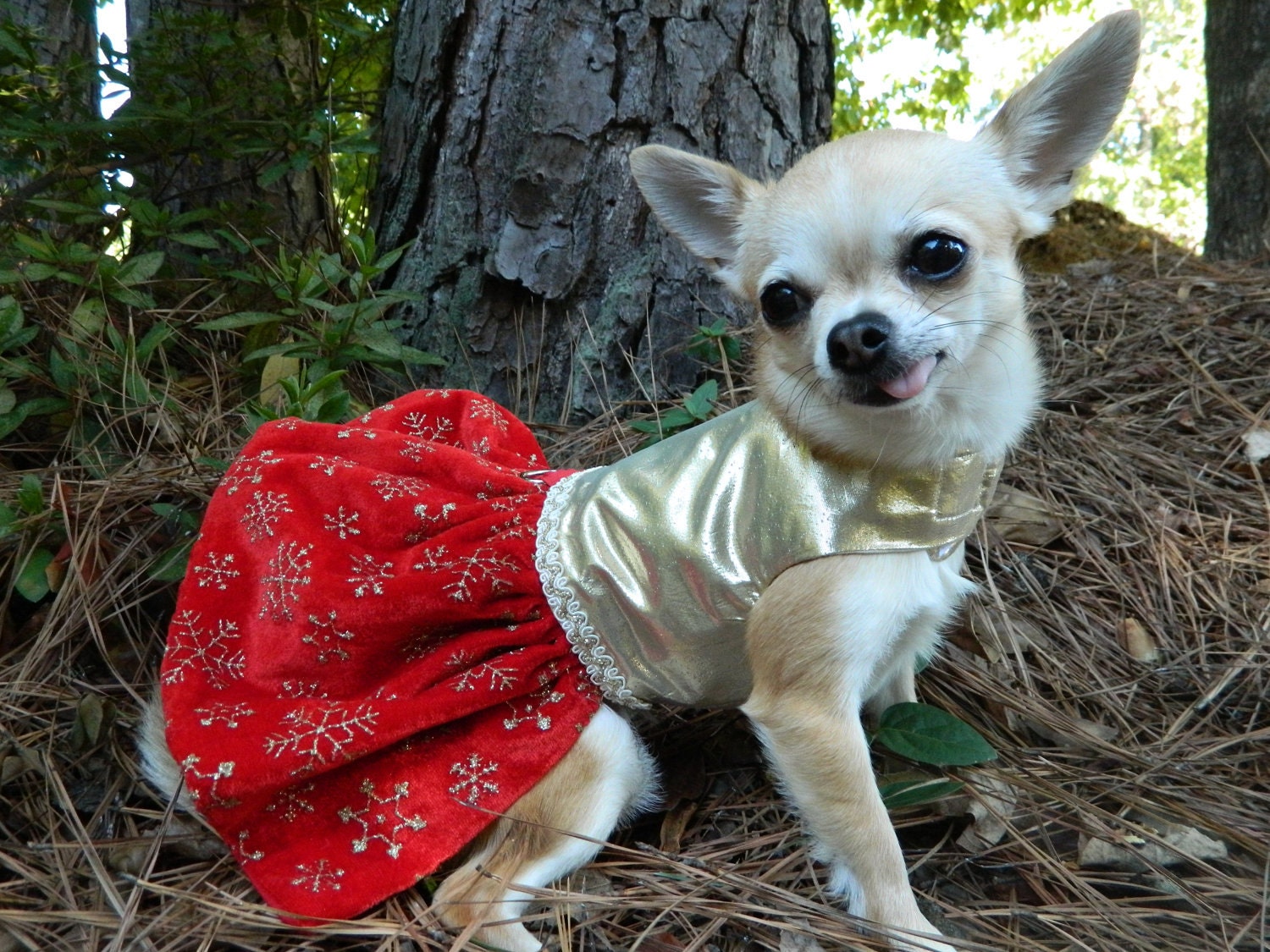 Christmas Snowflakes - Fancy Dog Dress