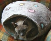 Pet Pod