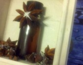 Organic Protection Oil - use for anointing, candle dressing, household, car, and more