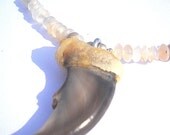 Bear Claw and Moonstone Necklace