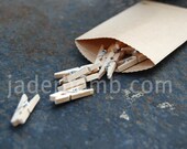 Mini Small Wooden Clothespins miniature micro mini tiny wooden clothes pins little for cards natural wood craft tags
