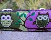 1" Adj. Quick Release Collar -Tree Owls/Green -Sm, Med or Lge(Or as a Martingale) Or see 3/4" listing