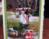 Sled - Christmas Holiday Card - Lisa Ceaser Photography Original