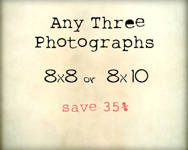 SALE - Photographs Any Three  - 8x8 or 8x10 - Your Choice - save 35%