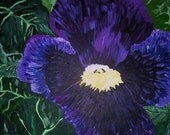 Isabels flower