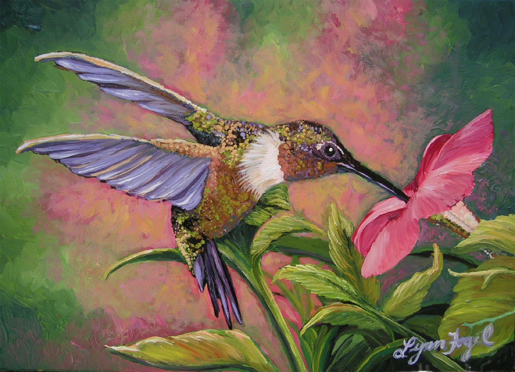 Hummingbird,  hibiscus, Print, 8 x 10 inch with double mat, the fleeting and mysterious bird