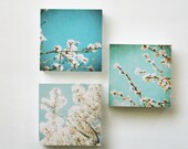 white and blue blossoms - set of 3 photo wood blocks
