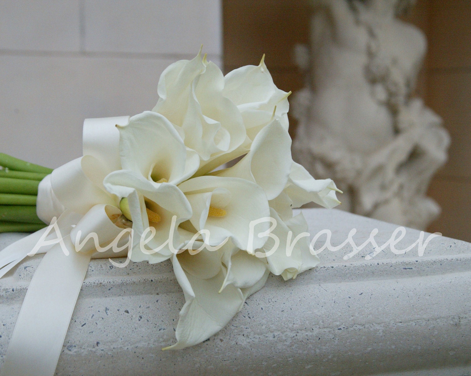 Calla Lillies Classic Fine Art Photograph
