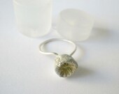 Shell-Sterling silver ring