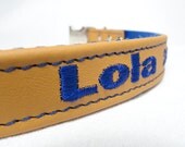 3 Quarter Inch Personalized and Customized Dog Collar (Sizes 10-13)