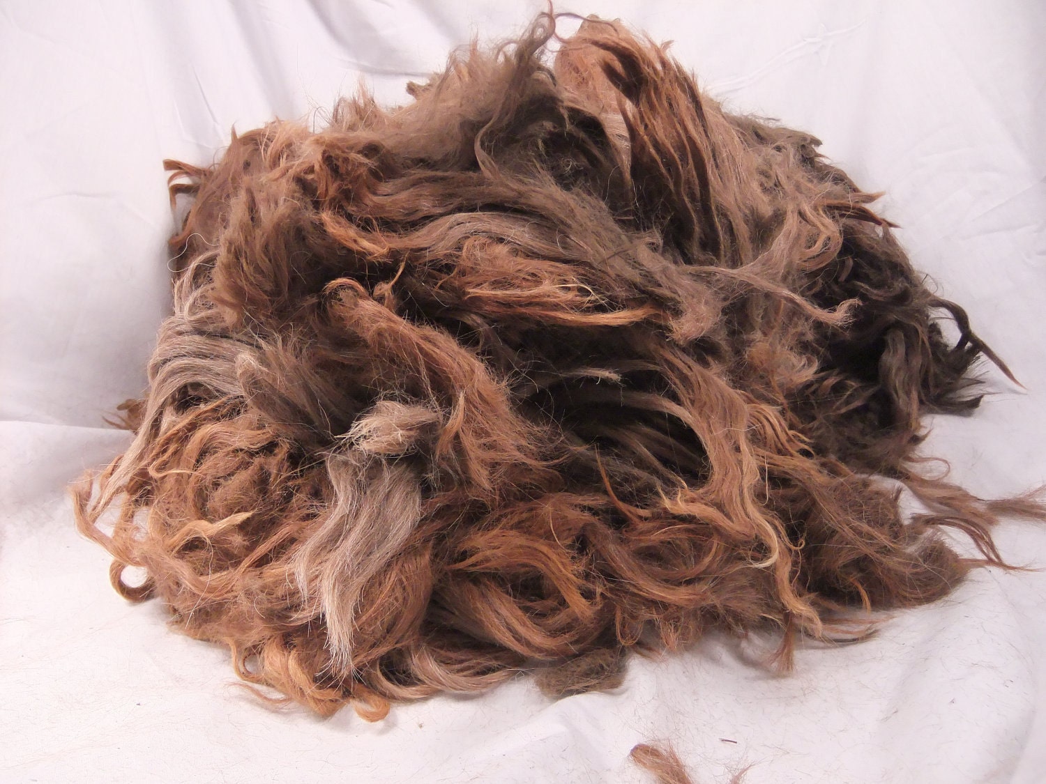 Raw 100% Suri Fleece - Champion Appaloosa Alpaca