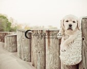 Open air swallows nest and hanging cocoon Photo prop