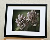 Matting For 8x8,  8x10 or 8x12 Prints