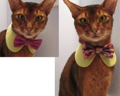 Sweet Round Collar in choice of color or print & interchangeable bow tie