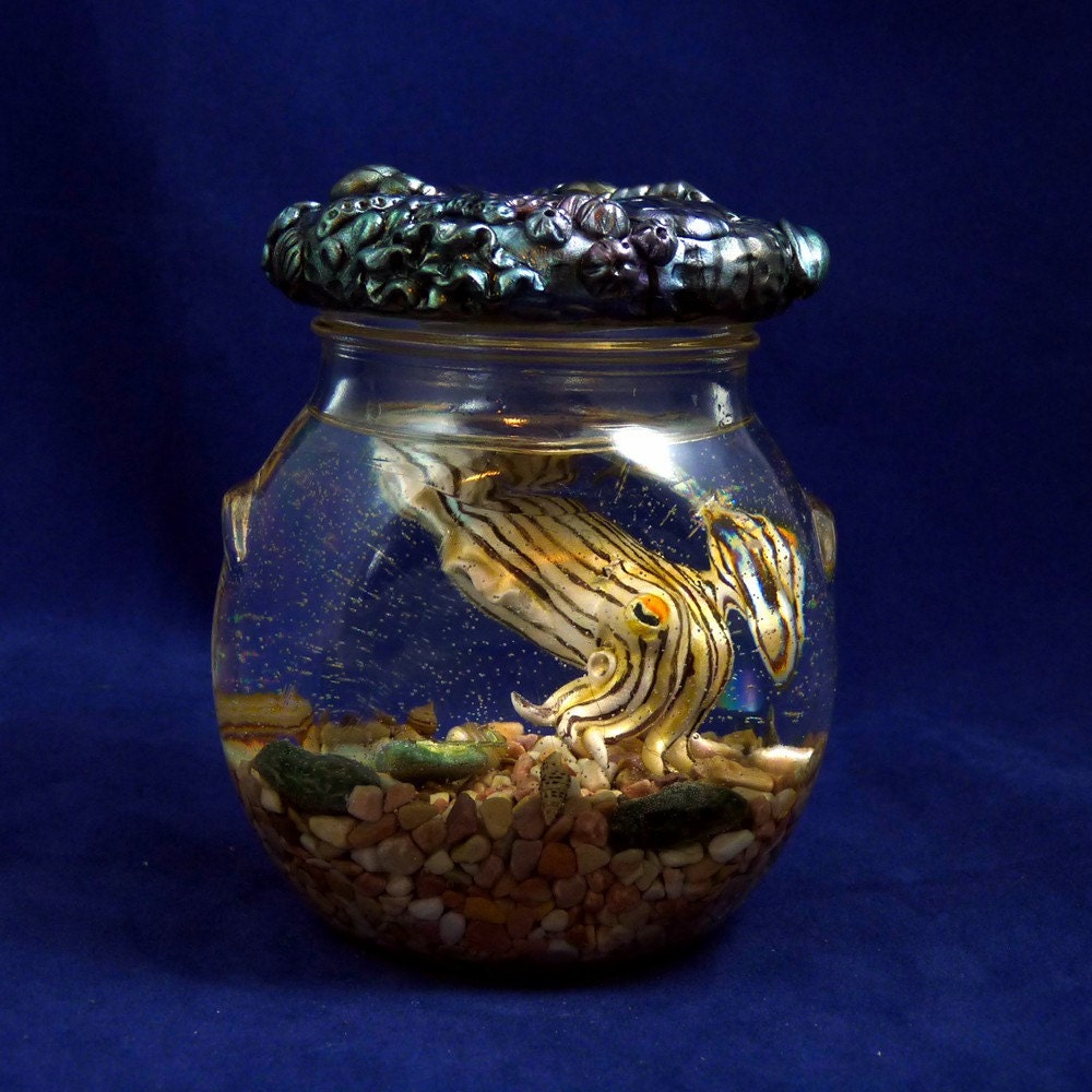 Striped Pyjama Squid Perma-Pet - Original Cephalopod Sea Life Sculpture