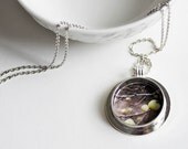 20% OFF Sale Fine Art Photo Jewelry Necklace - In the Garden of Eden - original photography - ready to ship - Valentines Day