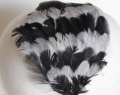 Pretty Feather Headband in Rich Silver and Black by Uptown Avenue