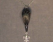 GOTHIC STARLING PENDANT steampunk taxidermy jewelry necklace with real feather bird head