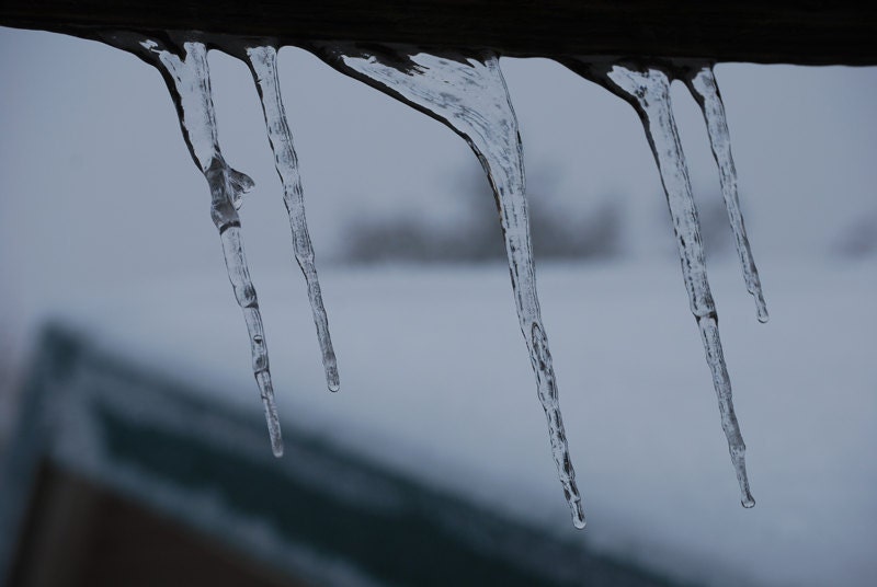 Frozen in Motion 8x10 Fine Art Print