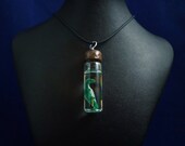 Plesiosaur Specimen Jar Necklace  - Handmade Prehistoric Jewelry