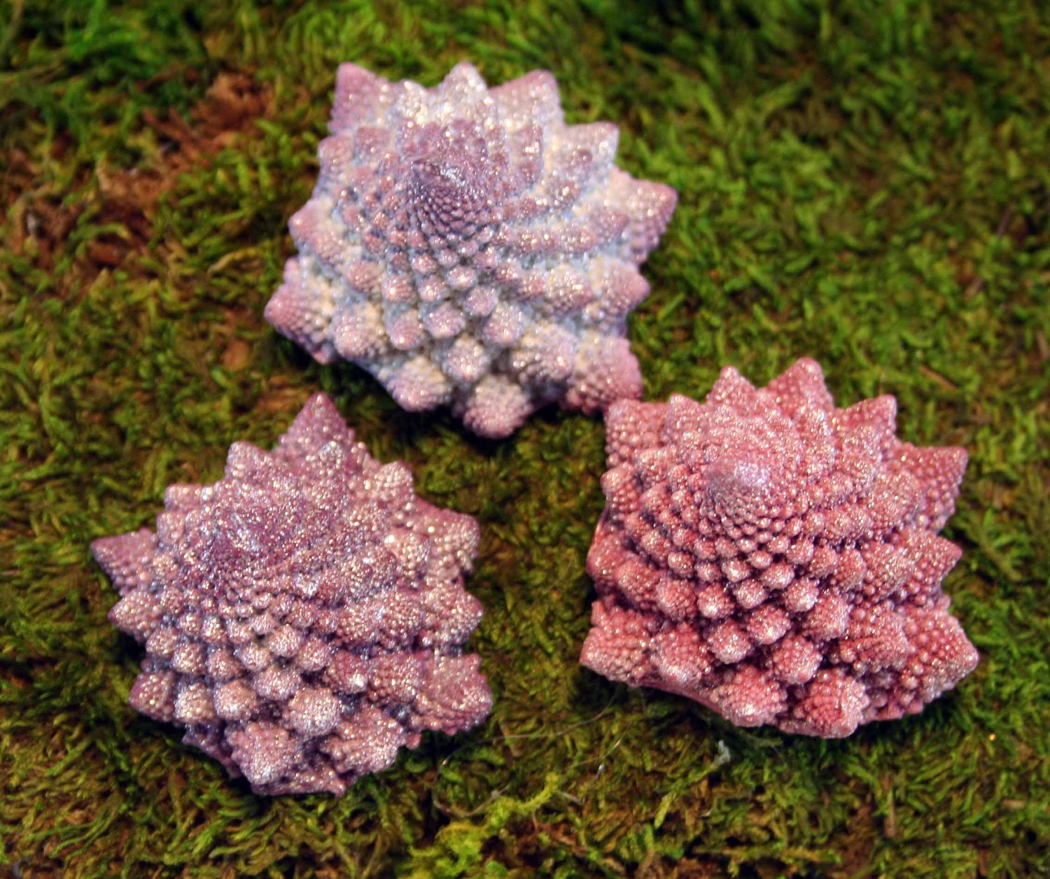 Set of Small Magnets: cast "Brocco-Fractals".  Dyed with Tea & Dusted with Mica