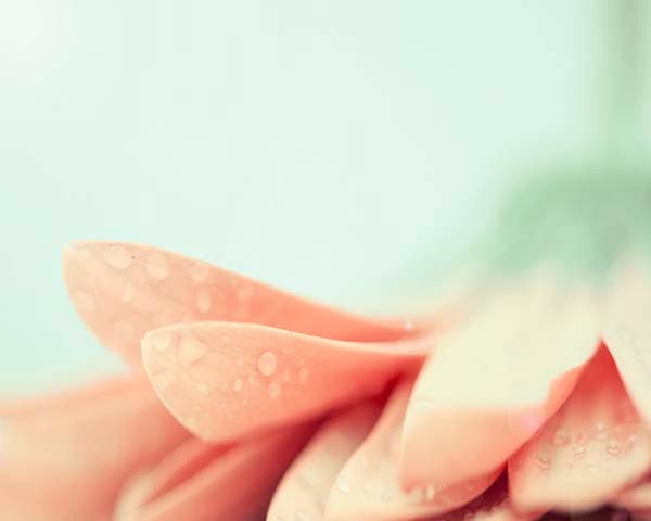 Spring Peach Mint Green Flower Photo-Pastel Spring Colors Spring Home Decor Nature Photography  Wedding Spring Garden 8x10 Print - Maddenphotography