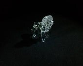 Clear Lion