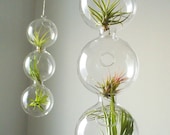 3 globes and plants in 1 - SASSYspaces