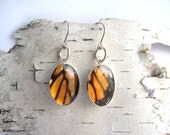 Real Butterfly Earrings, orange monarch wing