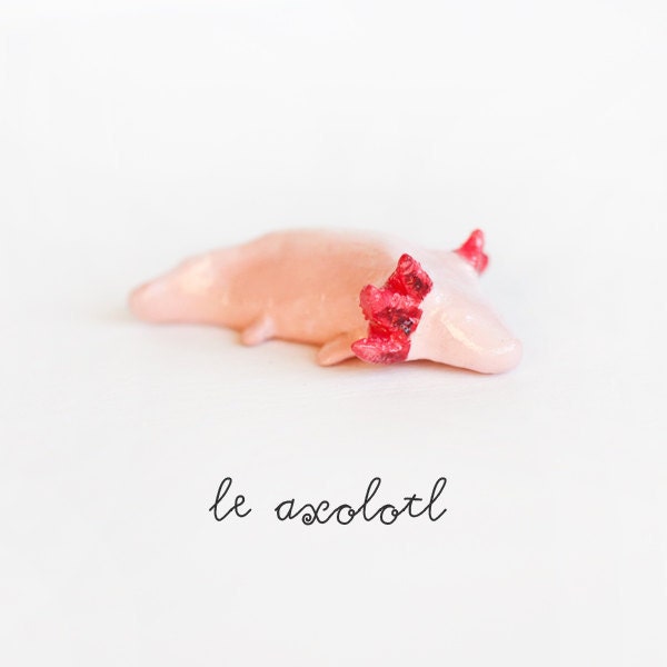 Le Healthy Axolotl Totem - Unusual Animal Figurine