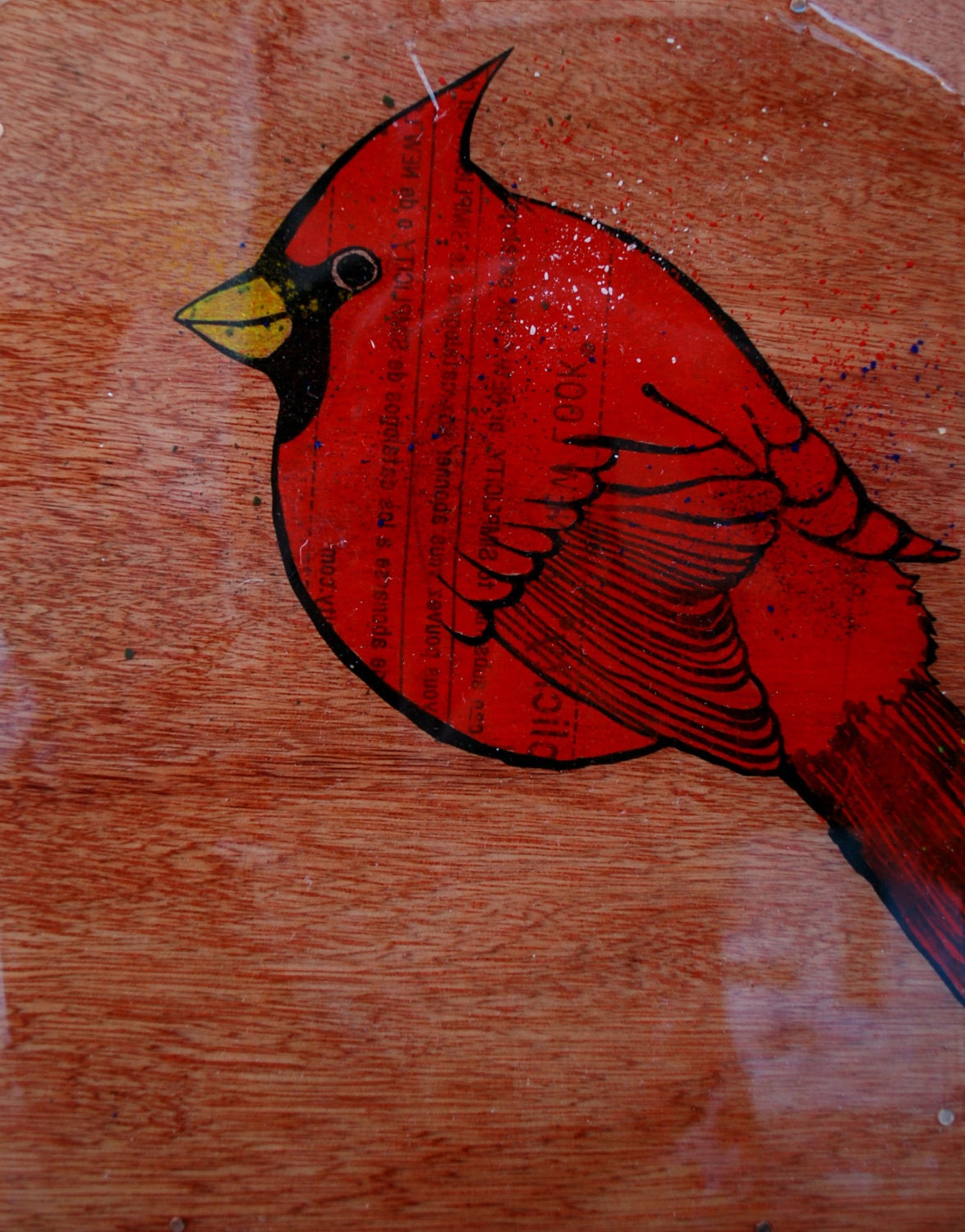 Cardinal