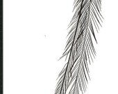 emu feather extension extra LONG 12" Burgundy wine