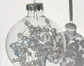 Winter Berry - Glass Globe Ornament