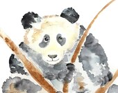 panda bear art print