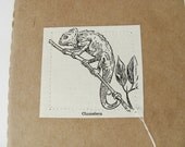 Moleskine - Chameleon - Vintage dictionary small notebook