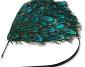Brown and Turquoise Feather Headband
