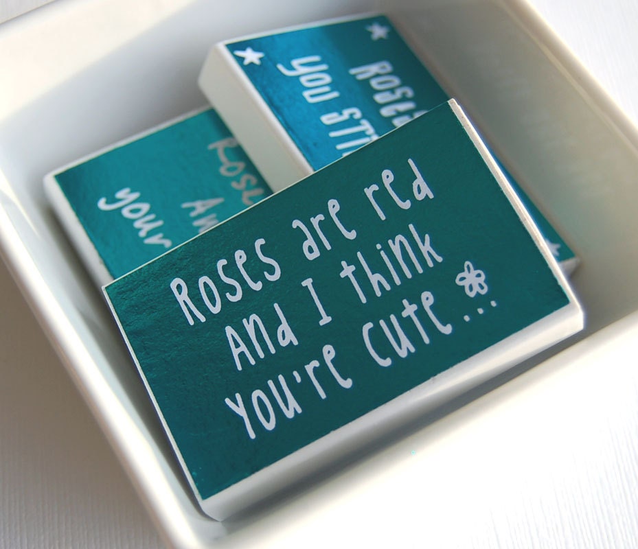 Funny matchboxes gag gift set-- Lovely Lites