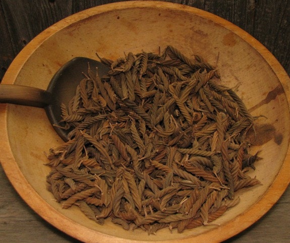 Dried Twistie Pods Snowman Noses Potpourri Primitive Natural Crafts