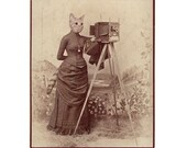 SET OF 4 - Cat - The Professional Photographer - Note Card, Greeting Card, Blank Inside - Altered Vintage Postcard