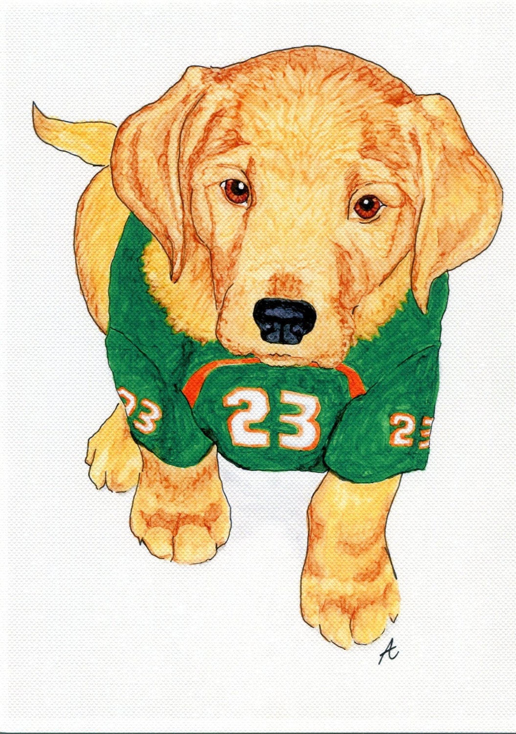 Custom Pet Portrait, Footbal Jersey Golden Retriever Dog, 8.5x11 Art Print or 4 - 5x7 Cards