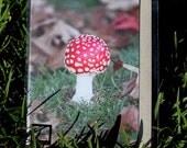 Magic Mushroom Greeting Card