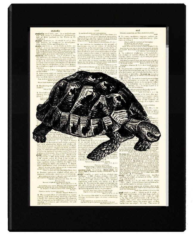 Turtle Tortoise Dictionary Print Made From Antique Illustration Engraving and Antique Dictionary Page